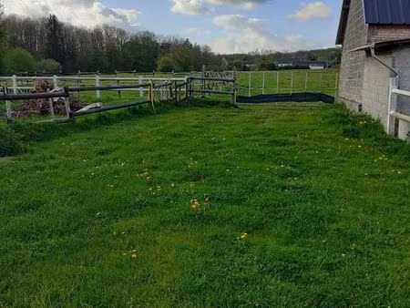 haras / élevage de chevaux
