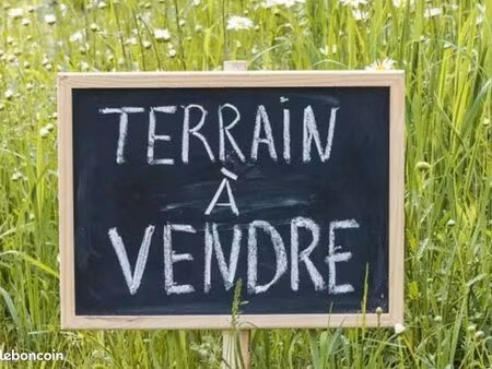 terrain 10 000 m² nay
