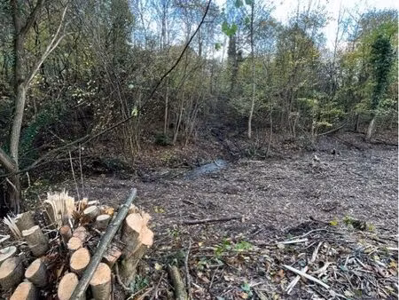 prix cassé 10 jours seulement : terrain de 9 28 ares : constructible 4 08 + bois 5 20 ares