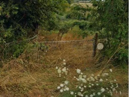 terrain agricole 3 400 m² clôturé – idéal élevage – vente urgente