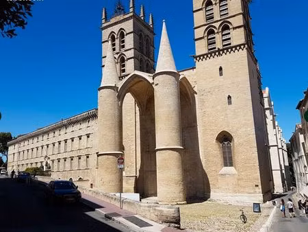 murs commerciaux loués - 30 m² montpellier