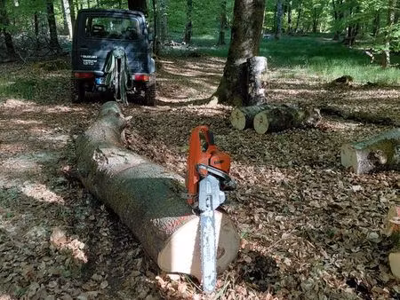 recherche terrain pour stockage bois
