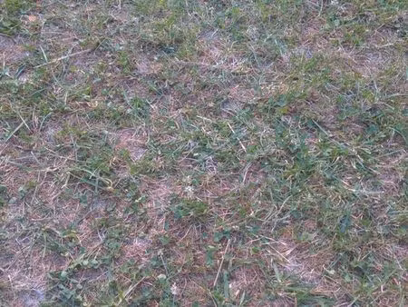 recherche terrain piur création verger