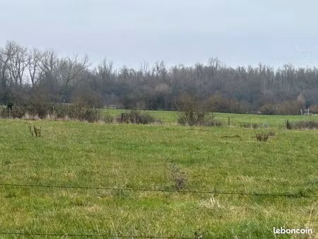 terrain 1 500 m² hinges