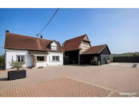 propriété avec vaste cour pavée  2 appartements  grange et dépendances
