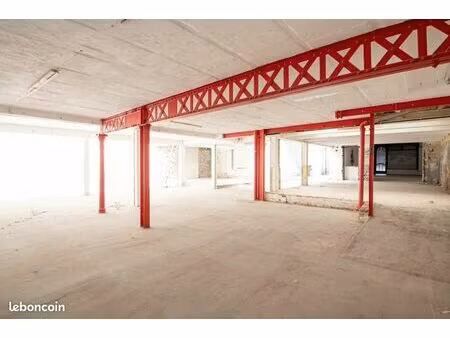 immeuble 380 m² lille