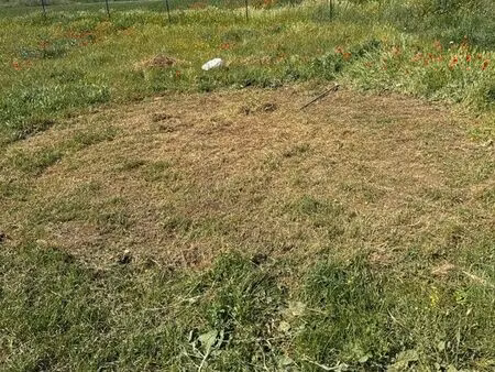 terrain de loisir