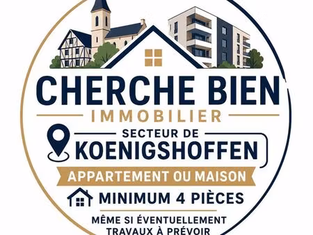 recherche bien immobilier koenigshoffen et alentours