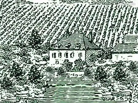 maison ancienne de la côte chalonnaise sur 6000m² avec dépendances