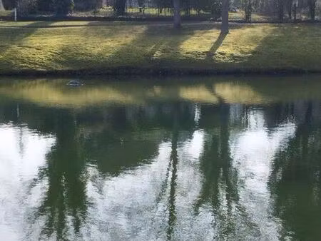 maison avec vue sur lac