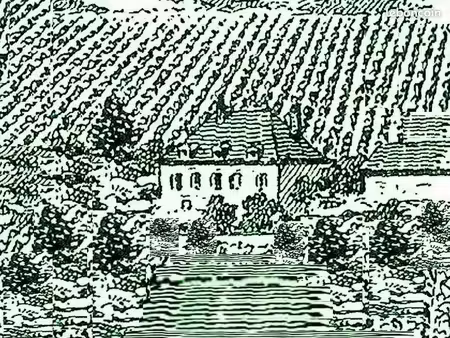 maison ancienne de la côte chalonnaise sur 5000m² avec dépendances & 2 champs totalisant 6
