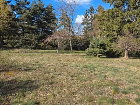 terrain constructible - le riou chaspinhac