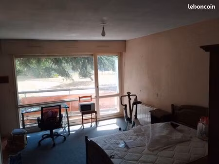 appartement t1 bis 38m angers