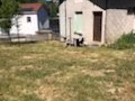 maison t2 à manzat