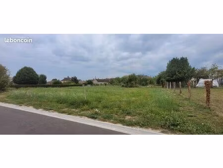 terrain constructible