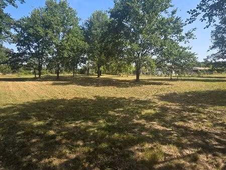 terrain constructible 850m2 viabilisé a vendre a montbeton endroit calme et arboré