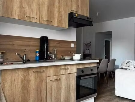 appartement hyper centre au calme