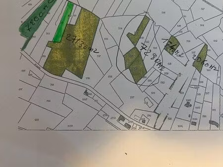 terrain bois