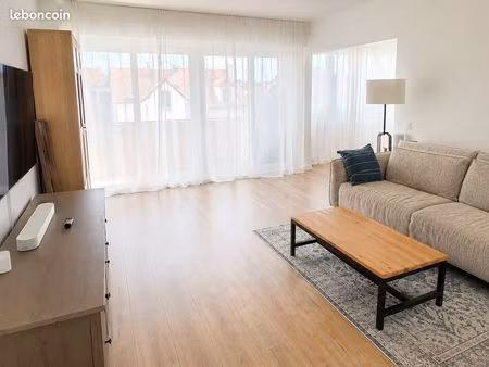 grand appartement meublé  récemment rénové et lumineux