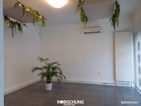 local commercial 63 m² dannemarie