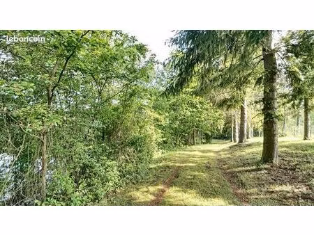 cherche terrain / jardin