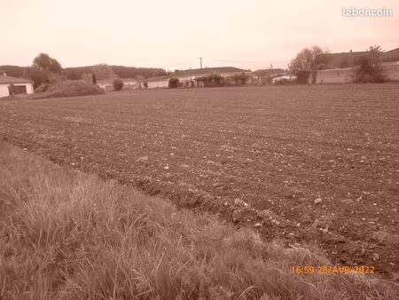 terrain constructible