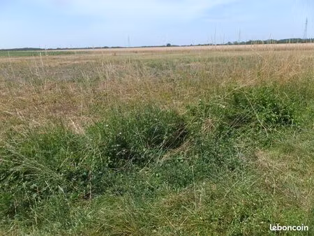 terrain viabilisé