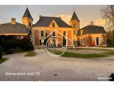 chateau 14 pièces 617 m²