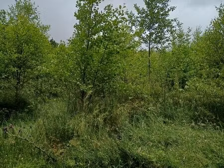 terrain de chasse
