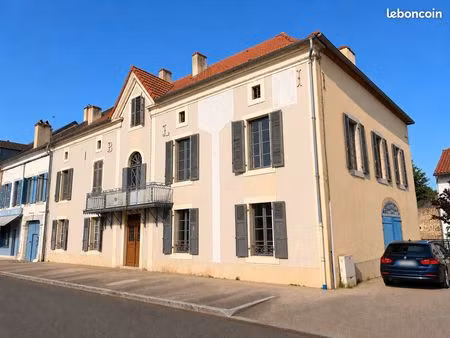 maison de 600m² + jardin - découpable en immeuble de rapport