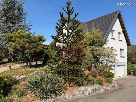 maison 190 m² + sous-sol 112 m² sur 10 ares - walheim - domotique  piscine  proche suisse