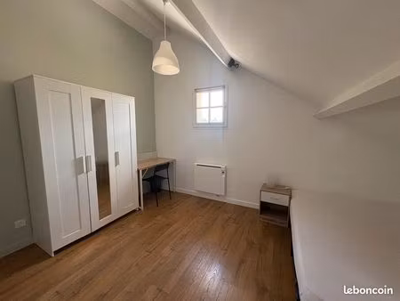 chambre avec salle d'eau privative- 19m2 - jardin et parking - 50m du tram b