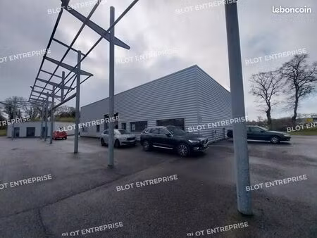 local d'activité 300 m²