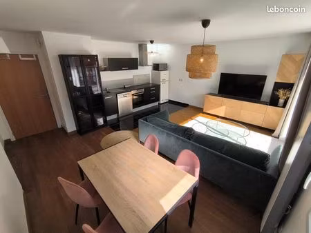 appartement t3 60m2 vieux lille