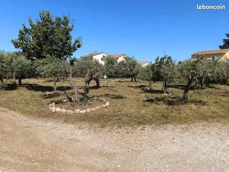 terrain 500 m² aubignan