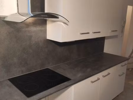 appartement t4 entièrement rénové