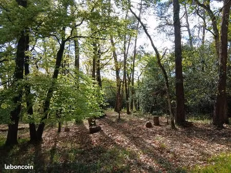location bois à brocéliande pour events
