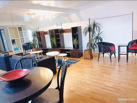 magnifique appartement style loft 45m2