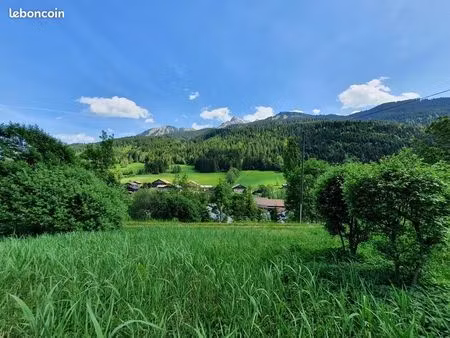 terrain 1000 m² abondance