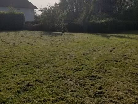terrain constructible