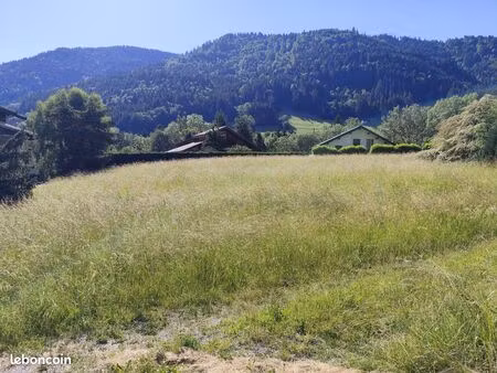 terrain constructible