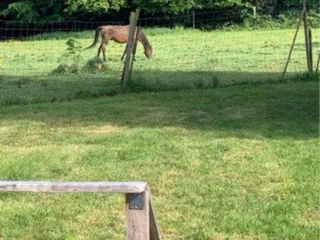 proche grand couronne  bourg achard  la bouille  sur le parc du chateau de mauny dans les 
