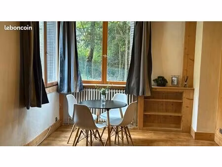 studio appartement a chamonix centre
