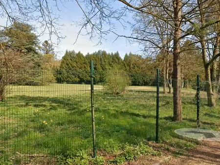 vente terrain constructible 1990 m2 dury (80)