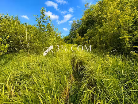 vente terrain 11407.65 m² à chazelles-sur-albe (54450)  21 000 €
