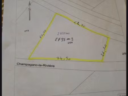 terrain verger