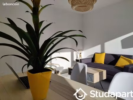 chambre 1 pièce 11 m²