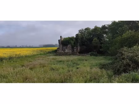 vente terrain à batir 886 m² à vézières (86120)  24 950 €