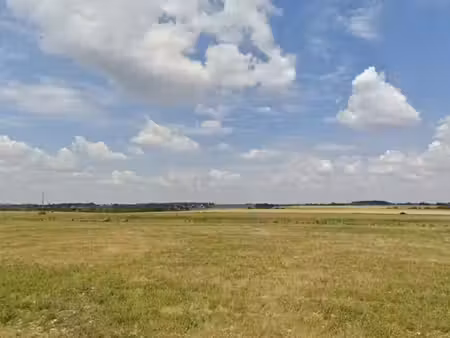 vente terrain 1800 m² à saint-martin-d'auxigny (18110)  35 000 €