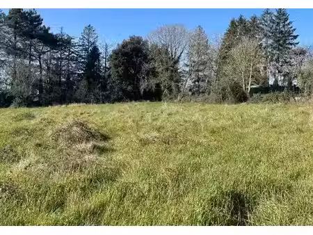 vente terrain 1187 m² à saint-amand-de-coly (24290)  35 000 €